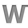 Waismann W logo