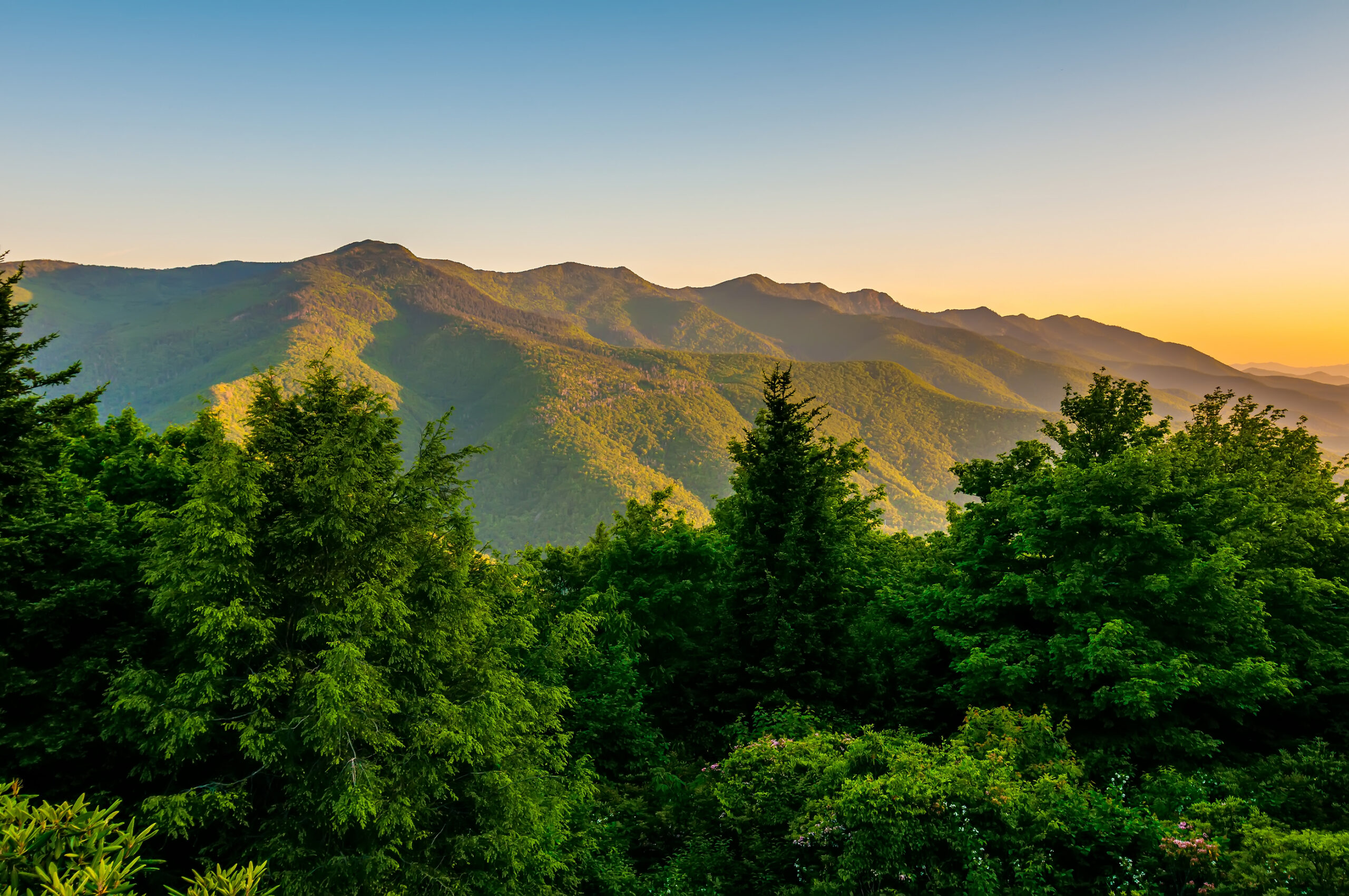 A picture of the Appalachian mountains to reflect the fentanyl crisis in Appalachia .