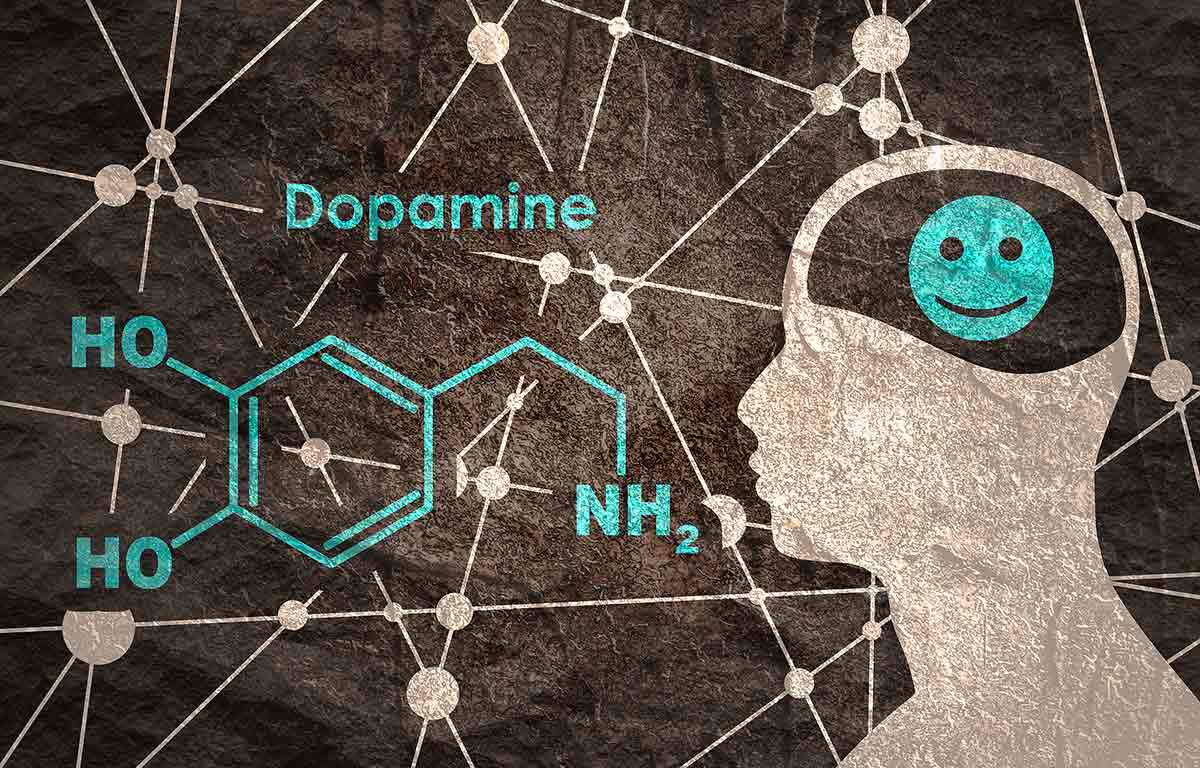 science behind opiate dependence - drugs and the brain