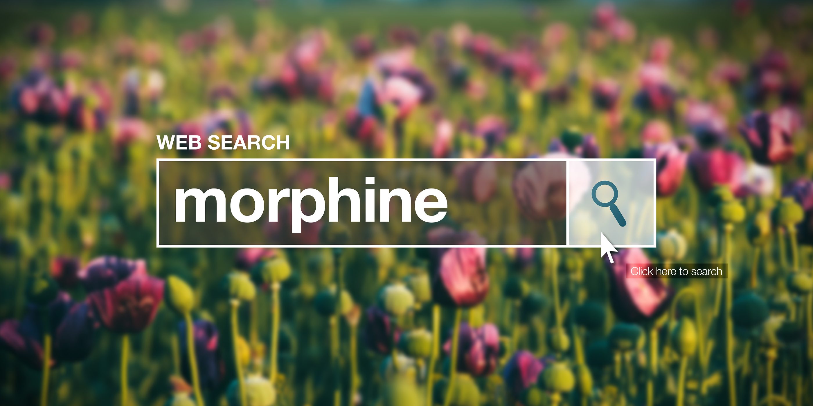 Morphine written in search bar to find morphine detox center