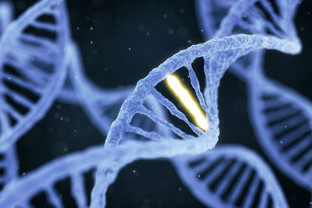 3D illustration of DNA molecule spiral structure with unique connection on abstract dark background. Concept of whether addiction is hereditary.