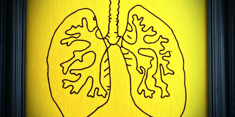 Diagram of lungs in picture frame