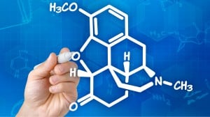 Hyslinga ER contains Hydrocodone