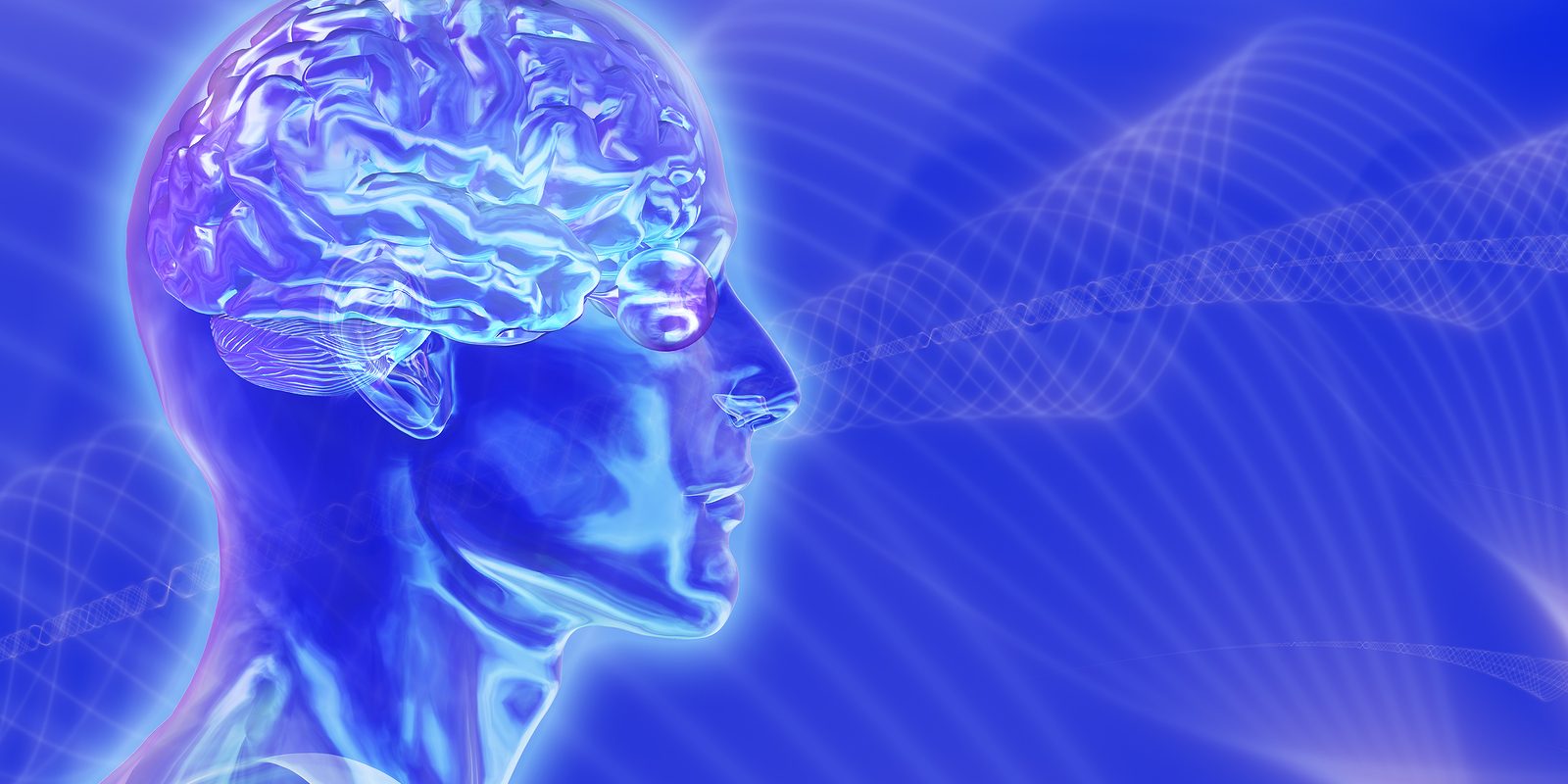 3D render of a glass head with the brain inside against a blue 'brainwaves' background.
