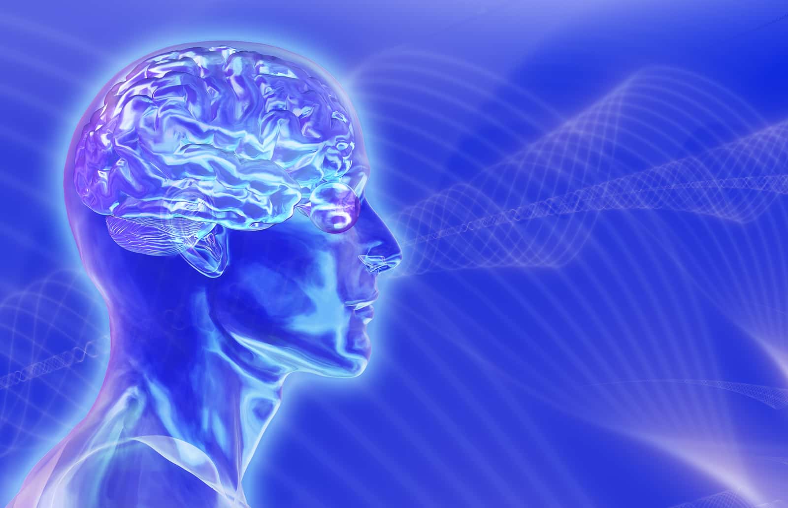 3D render of a glass head with the brain inside against a blue 'brainwaves' background.