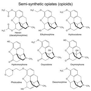 Chemical formulas of opiates and opioids