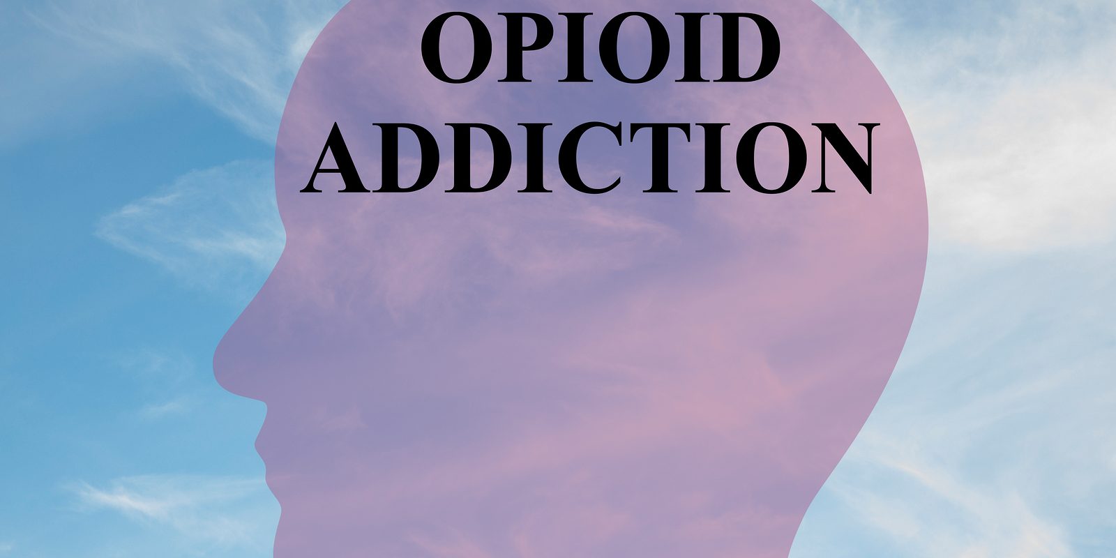 Render illustration of "OPIOID ADDICTION" script on head silhouette with cloudy sky as a background.