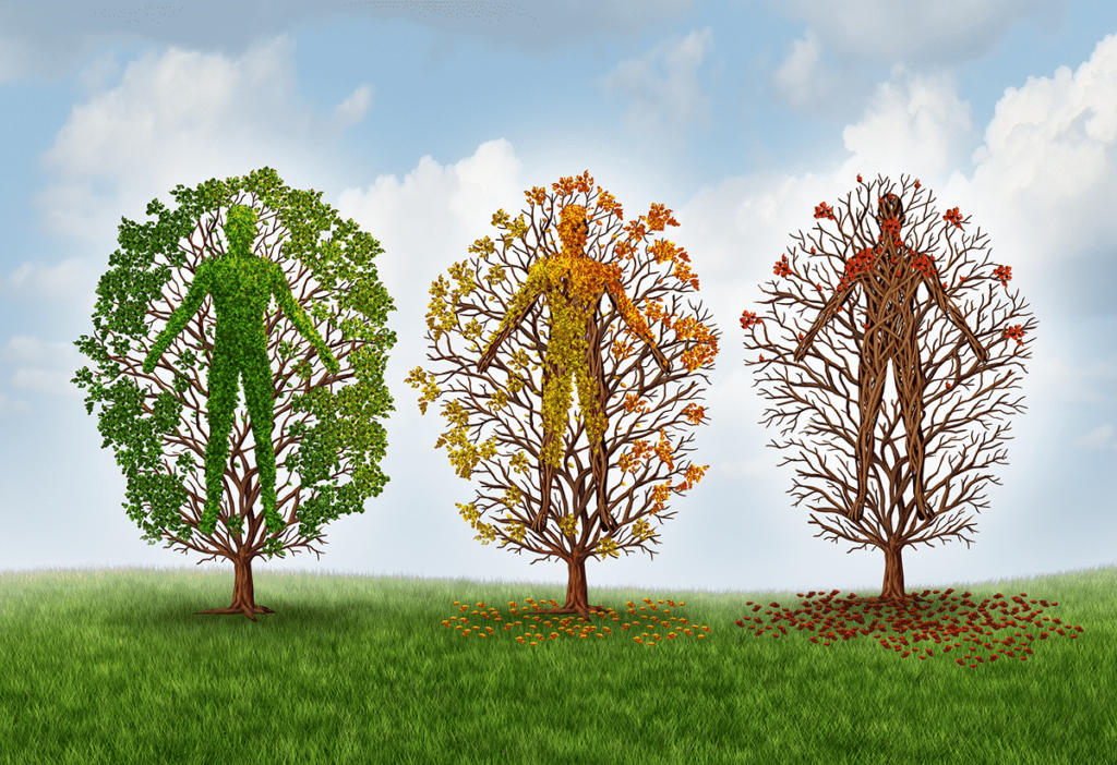 Human aging concept illustrated with decaying trees