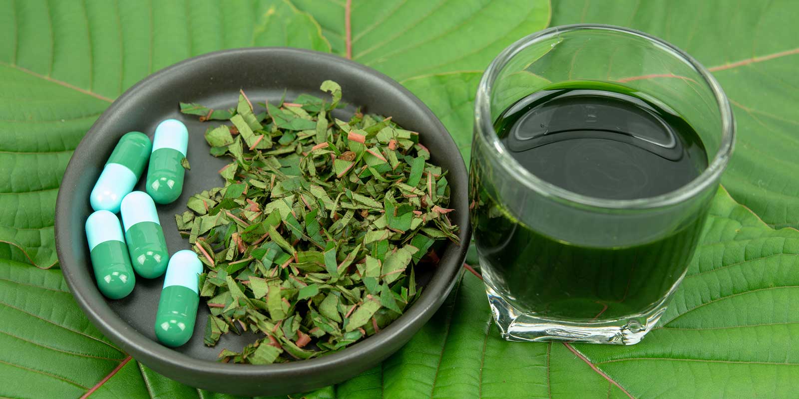 Mitragynina Speciosa Or Kratom