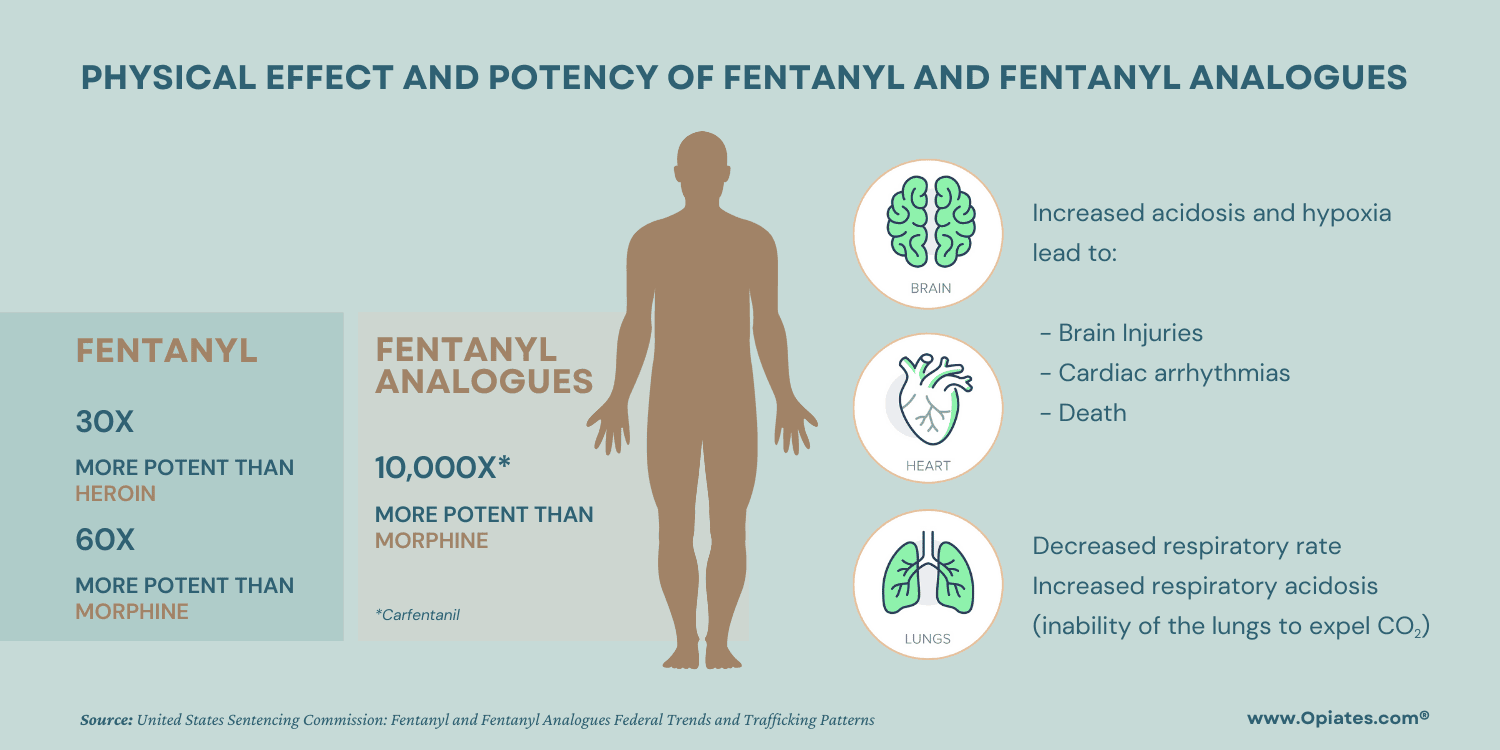 Infographic for Physical Effect and Potency of Fentanyl Analogues