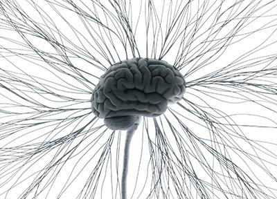 Central Nervous System Concept