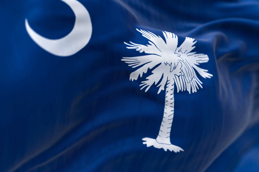 Concept of Rapid Detox in South Carolina. Photo of detail of the South Carolina state flag waving. Blue field with white palmetto tree and crescent. US state. Rippled fabric.