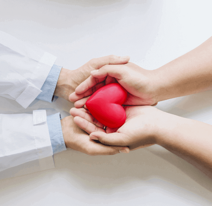 Doctor and patient holding a rubber heart - concept of comprehensive medical care vs one-day detox