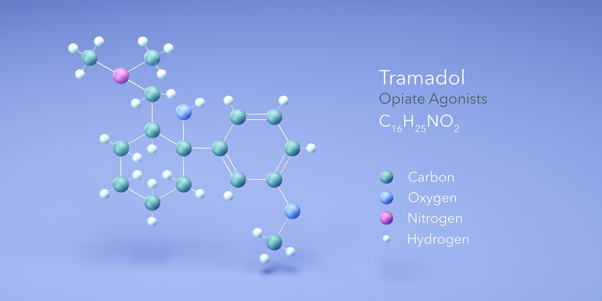 Tramadol molecule. It is synthetic psychotropic opioid analgesic, used for the therapy of severe pain.
