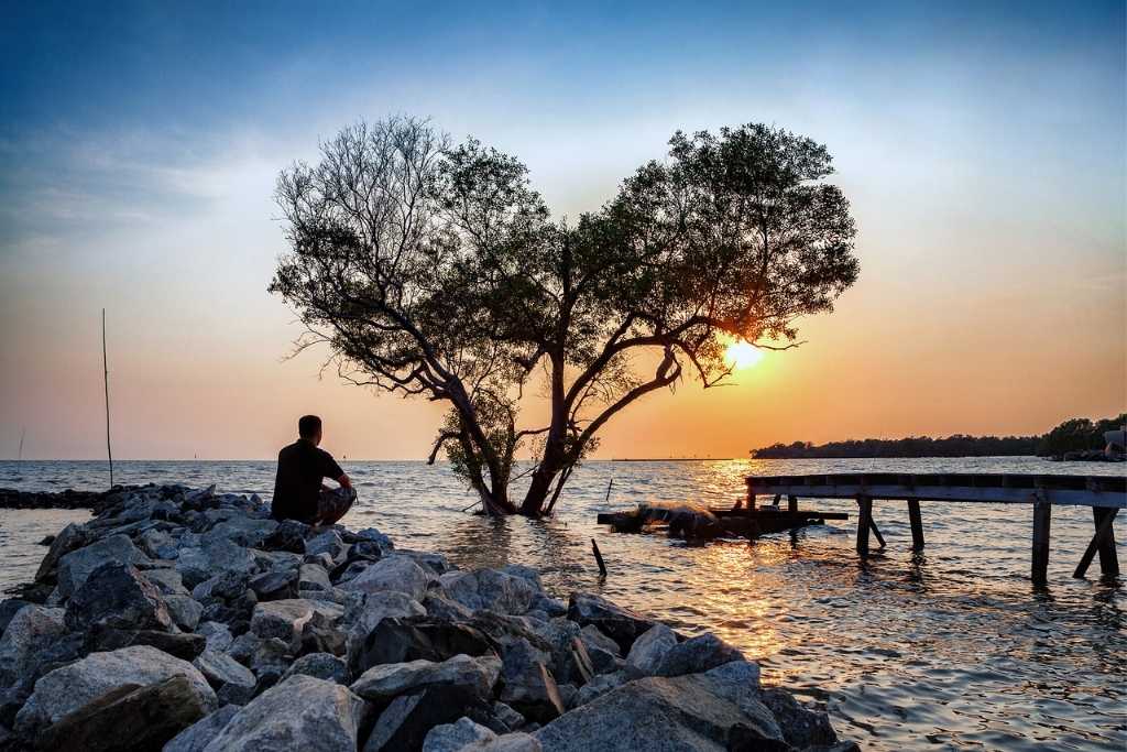 man in frustrated depression sitting alone on the rock dam extended into the sea and looking at tree in the shape of heart on sunset. the concept of relapse after treatment.