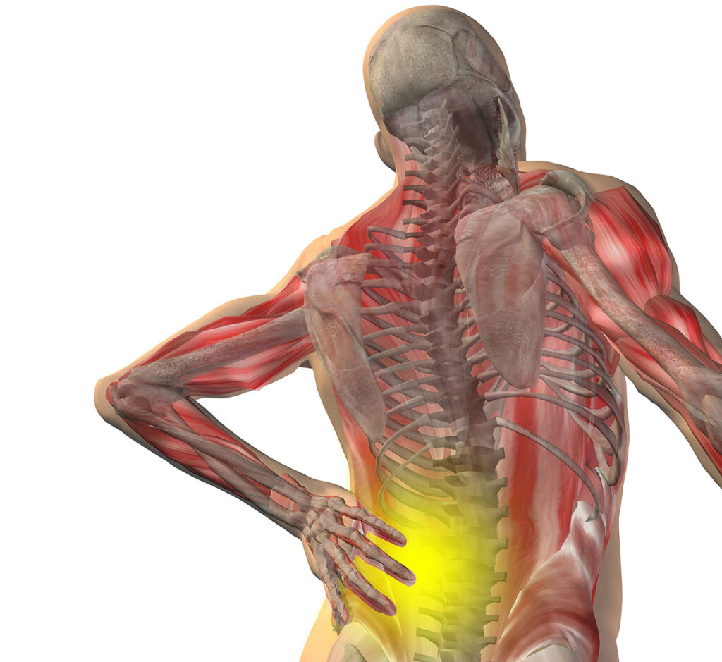 Understanding Pain: The Bridge Between Body and Mind​