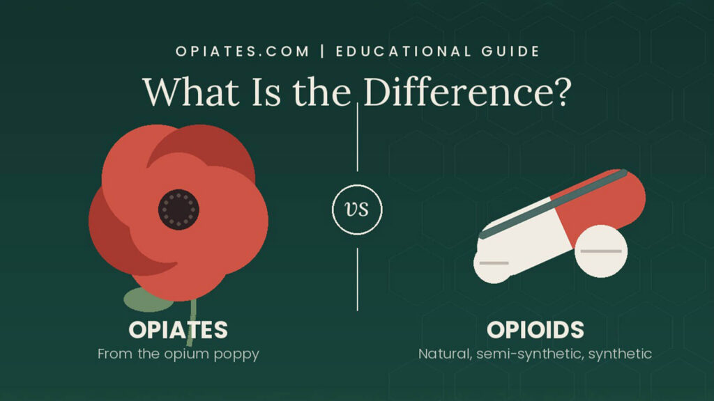 An educational graphic titled "What Is the Difference?" that contrasts "Opiates" derived from the opium poppy plant with "Opioids" which are categorized as natural, semi-synthetic, or synthetic.