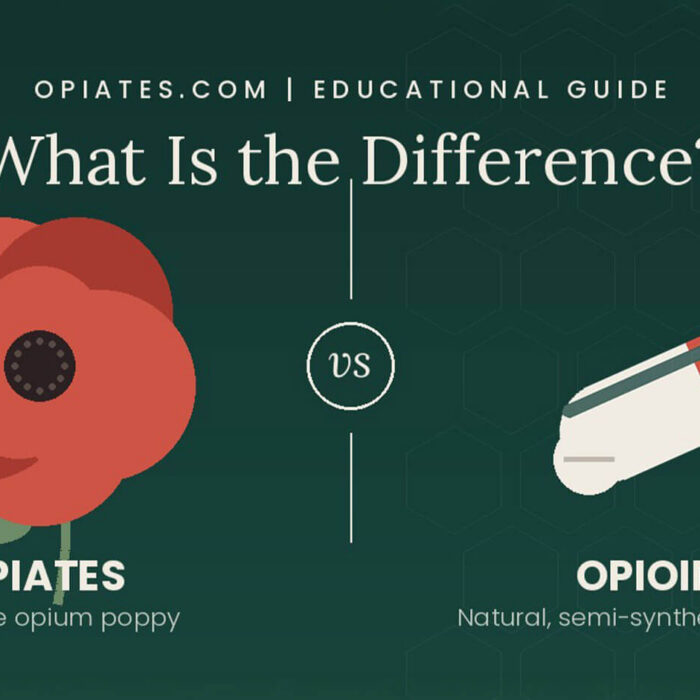 Opiates vs. opioids comparison chart contrasting natural opiates from the opium poppy with semi-synthetic and synthetic opioids